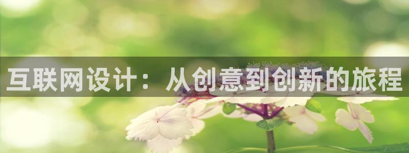 辉达娱乐多少年