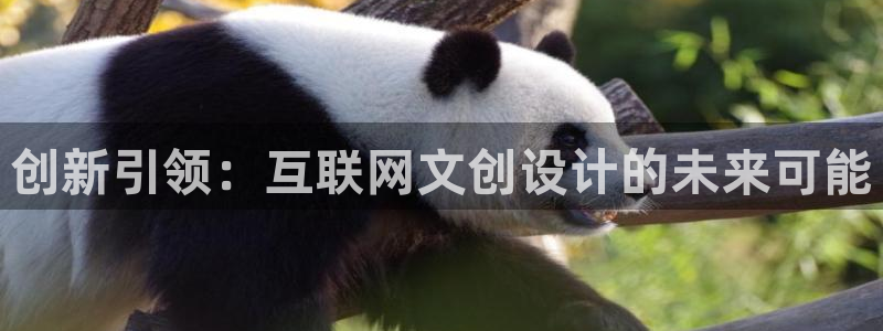 专业辉达娱乐在线游戏