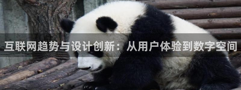 辉达娱乐招商