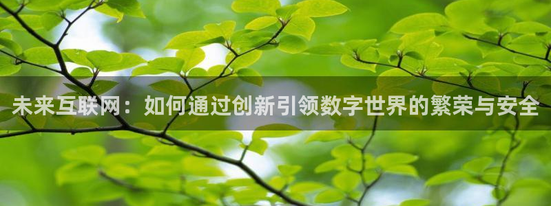 辉达娱乐时时彩平台