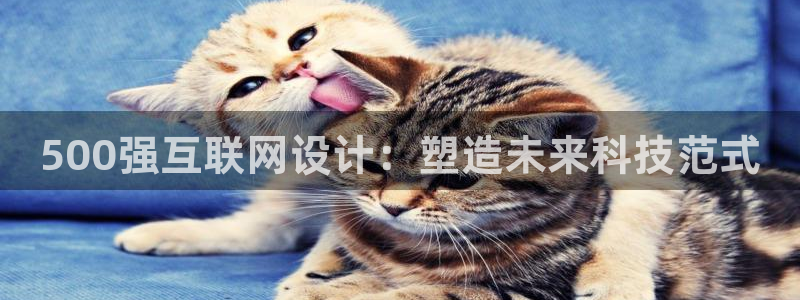辉达平台官网下载