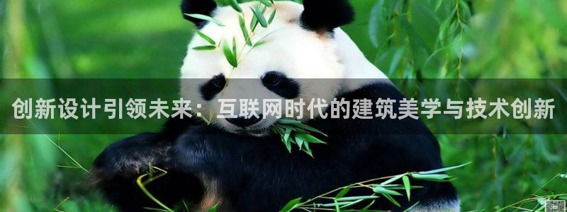 辉达娱乐福彩
