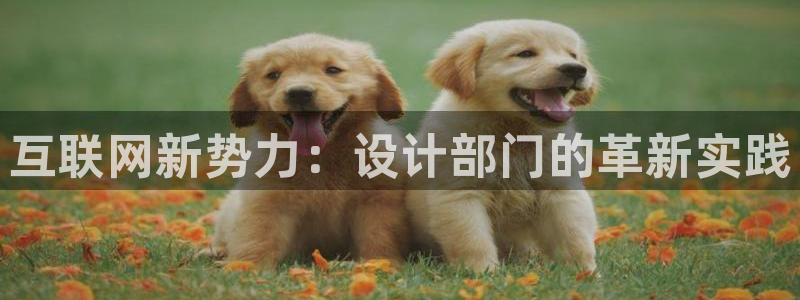 正规辉达娱乐在线游戏