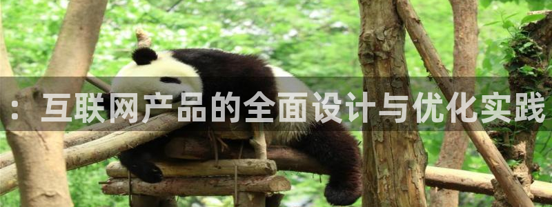 辉达娱乐待遇