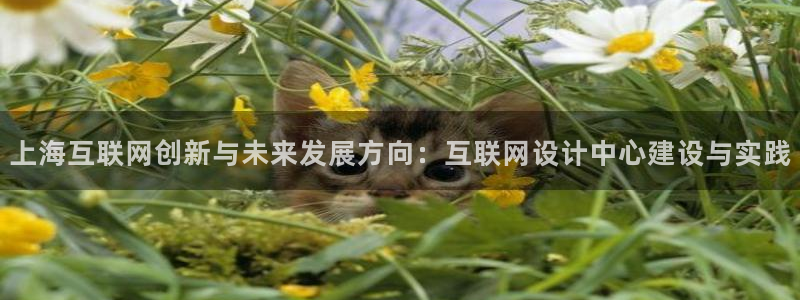 辉达集团官方网站