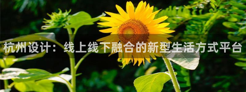 辉达娱乐电子
