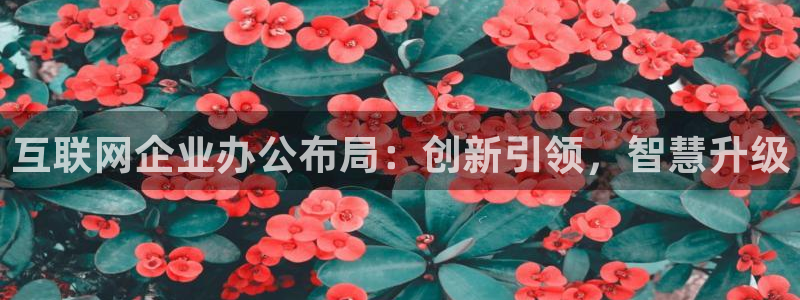 辉达娱乐 75505