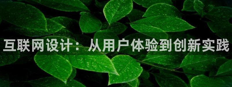 辉达娱乐丶75505