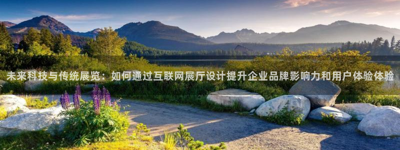 辉达平台官网下载