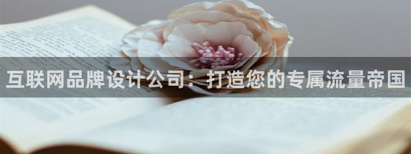 辉达娱乐电子游艺