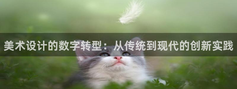 辉达娱乐体育竞猜