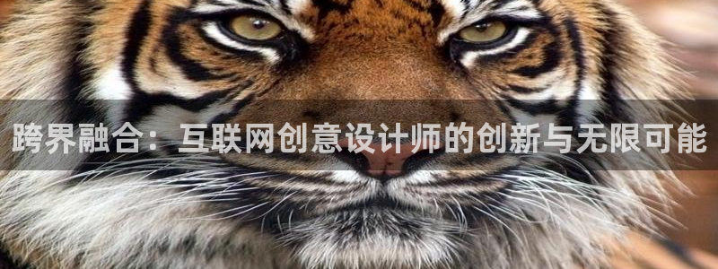 信誉辉达娱乐平台