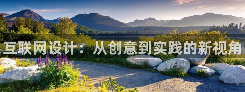 辉达怎么样