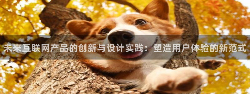 辉达娱乐 75505