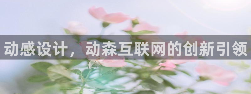 辉达娱乐app