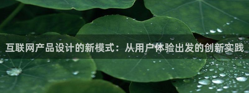 辉达娱乐最新版本更新内容