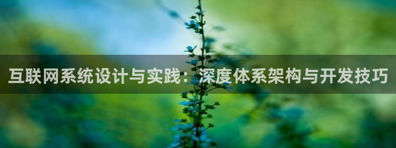辉达娱乐正规吗