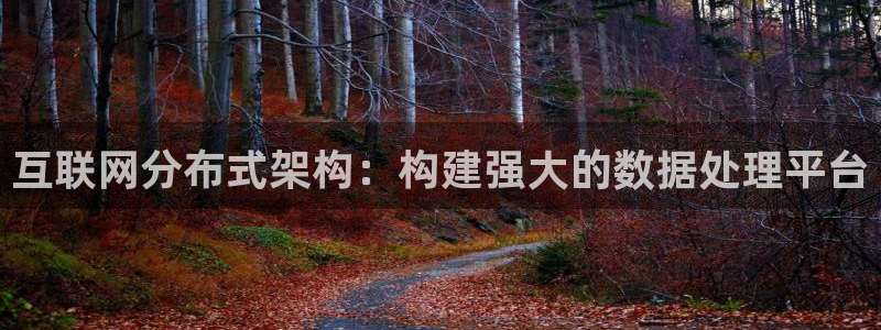 辉达娱乐己75505