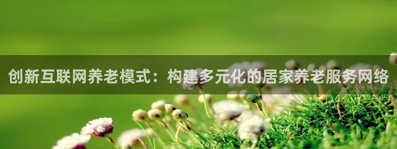 辉达娱乐线路检测