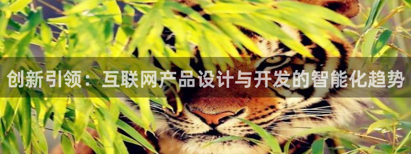 辉达平台官网电话