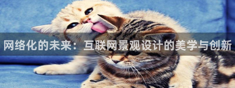 辉达娱乐最新版本更新内容