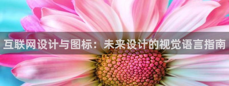 辉达娱乐总部：互联网设计与图标