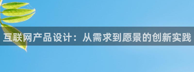 辉达平台注册：互联网产品设计：