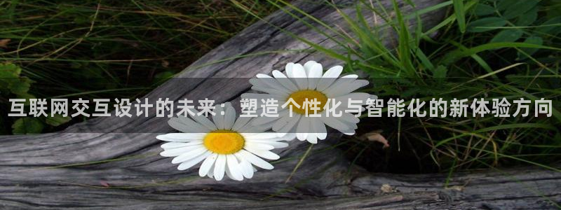 正规辉达娱乐在线游戏：互联网交