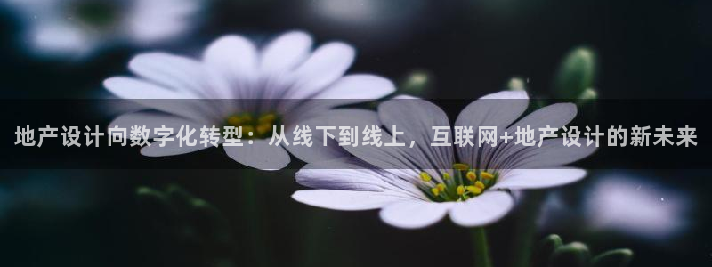 辉达娱乐123123：地产设计