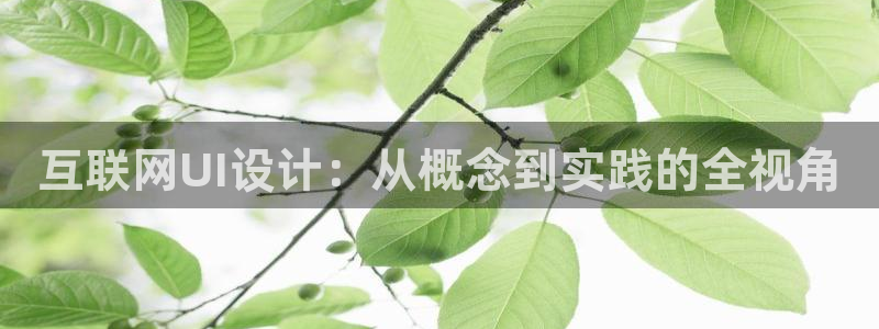 辉达娱乐分红
