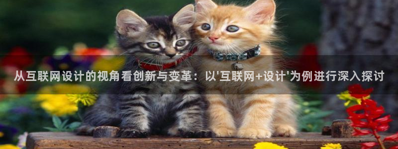辉达娱乐123123