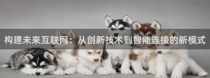 辉达娱乐电子游艺