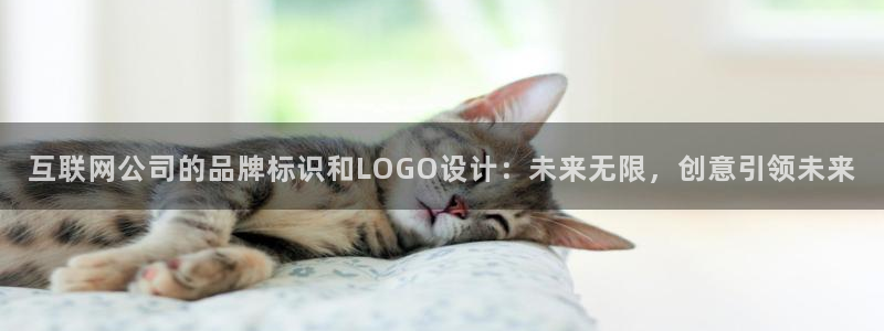 辉达娱乐丿75505