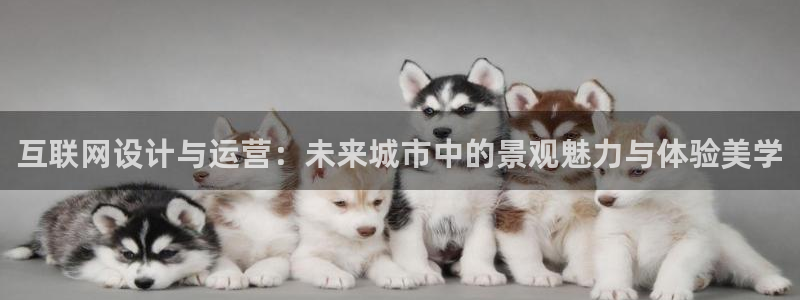 信誉辉达娱乐
