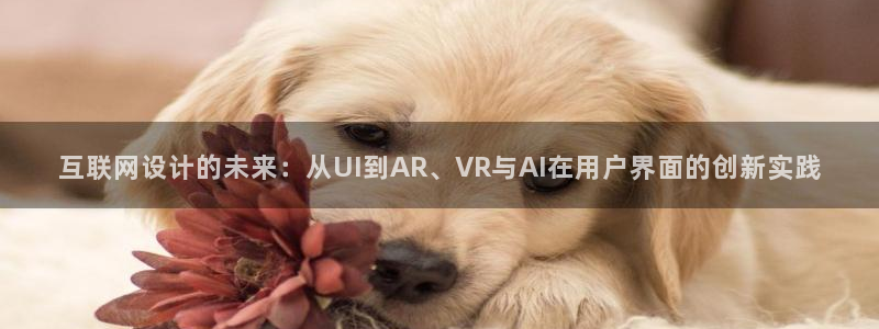 辉达娱乐平台
