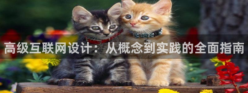 信誉辉达娱乐在线游戏
