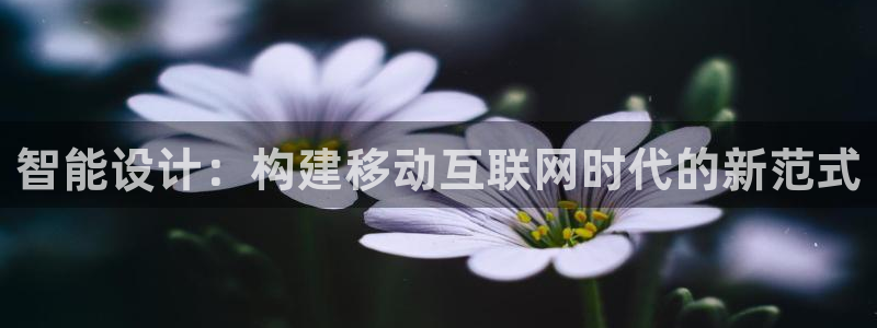 辉达娱乐时时彩平台