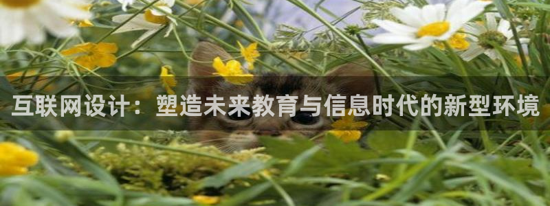 辉达娱乐招商