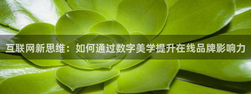 辉达娱乐最新现状