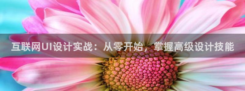 辉达娱乐最新现状