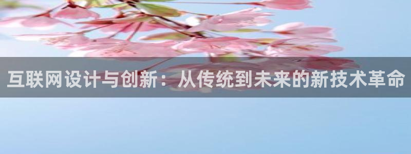 辉达娱乐最新版本更新内容