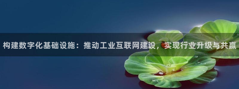 辉达娱乐珈75775