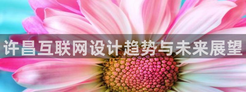 辉达娱乐五75505