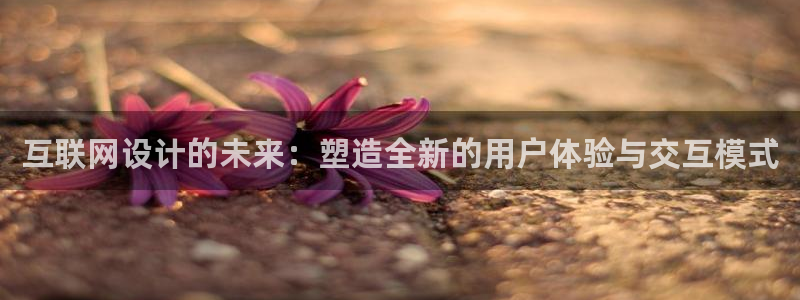 辉达平台官网下载