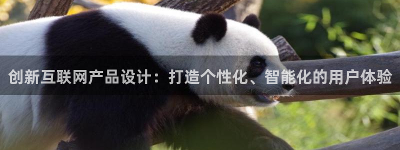 辉达娱乐正规吗