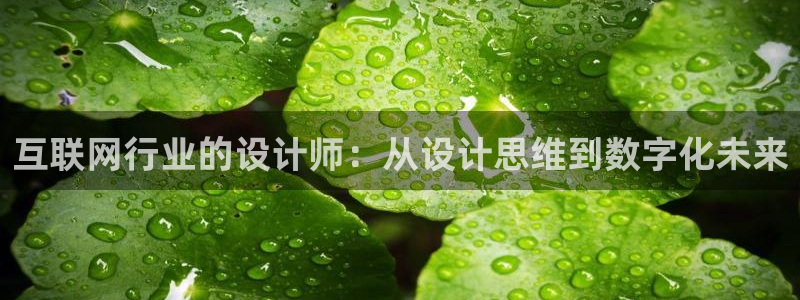 辉达平台官网网站