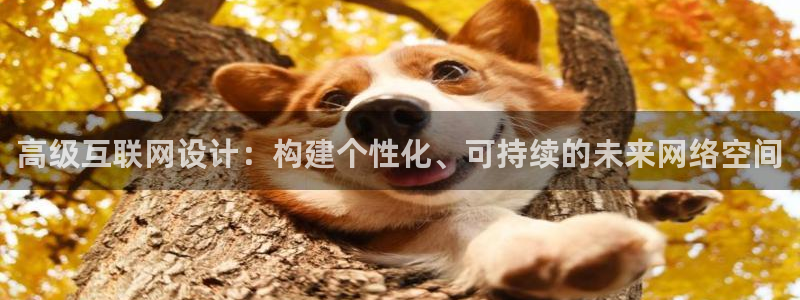 代理辉达娱乐平台