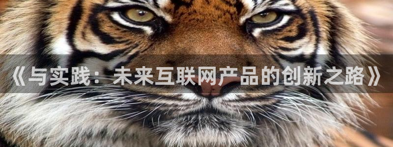 辉达娱乐计划软件：《与实践：未