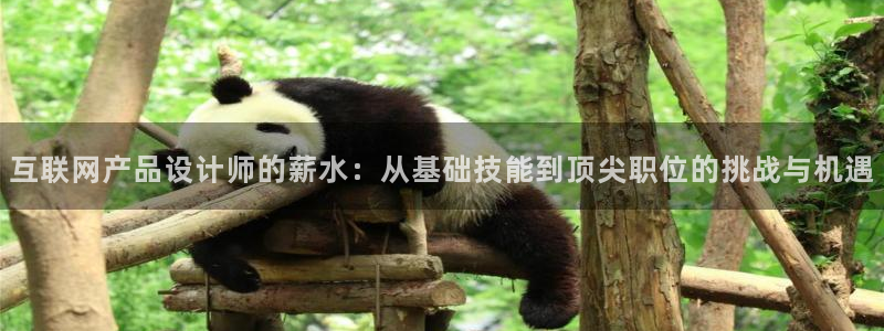 恒达娱乐辉70667