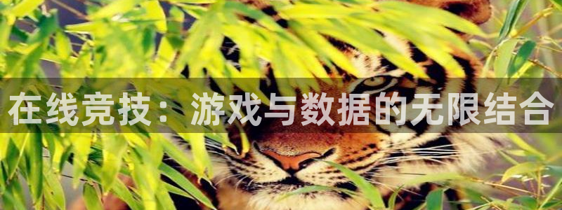专业辉达娱乐在线游戏：在线竞技